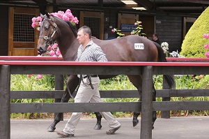 LOt 1176